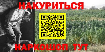 гидра Балашиха